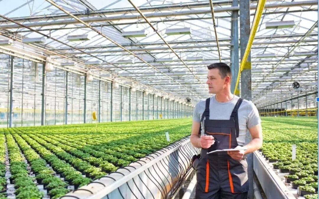 How To Become A Nursery/Greenhouse Manager